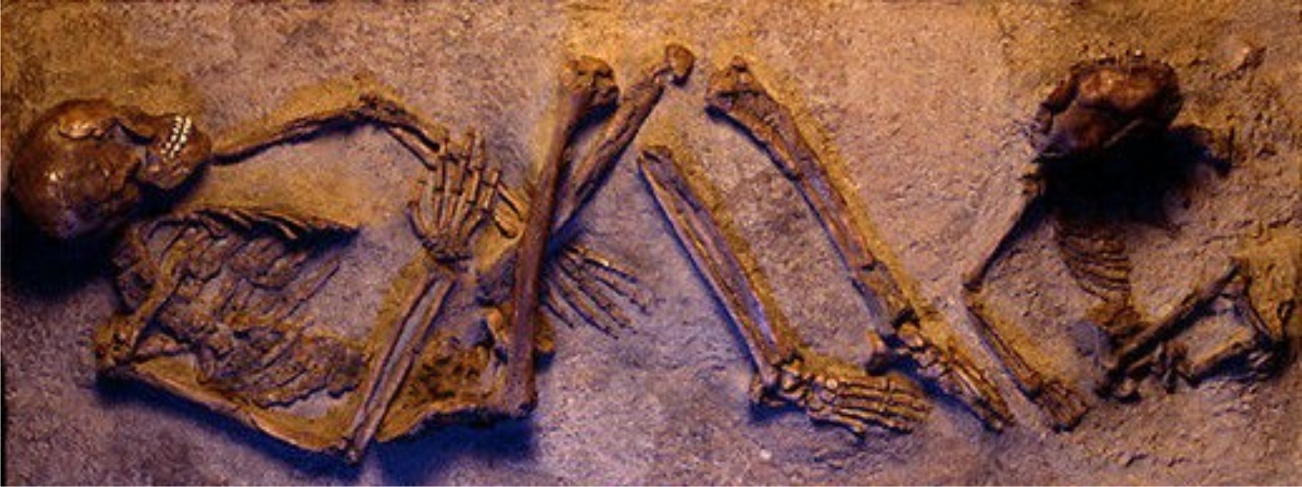 La Morte Di Pelopida Versione Greco